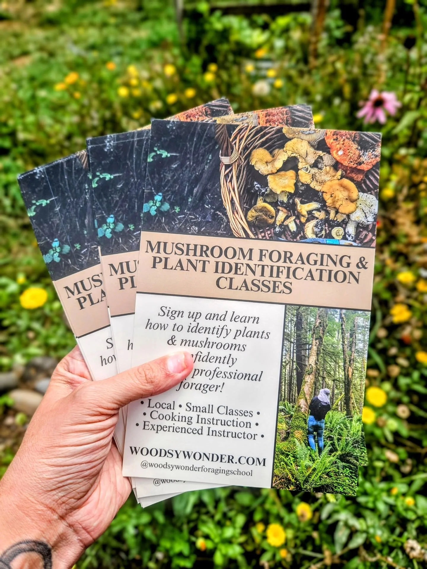 New fliers! ✨️ 

#mushroomhunting #portlandoregon #pdx #foraging #mushrooms
