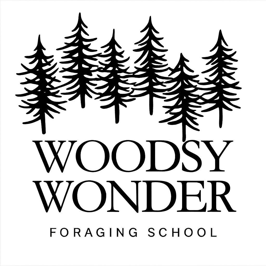 Woodsy Wonder Foraging School
