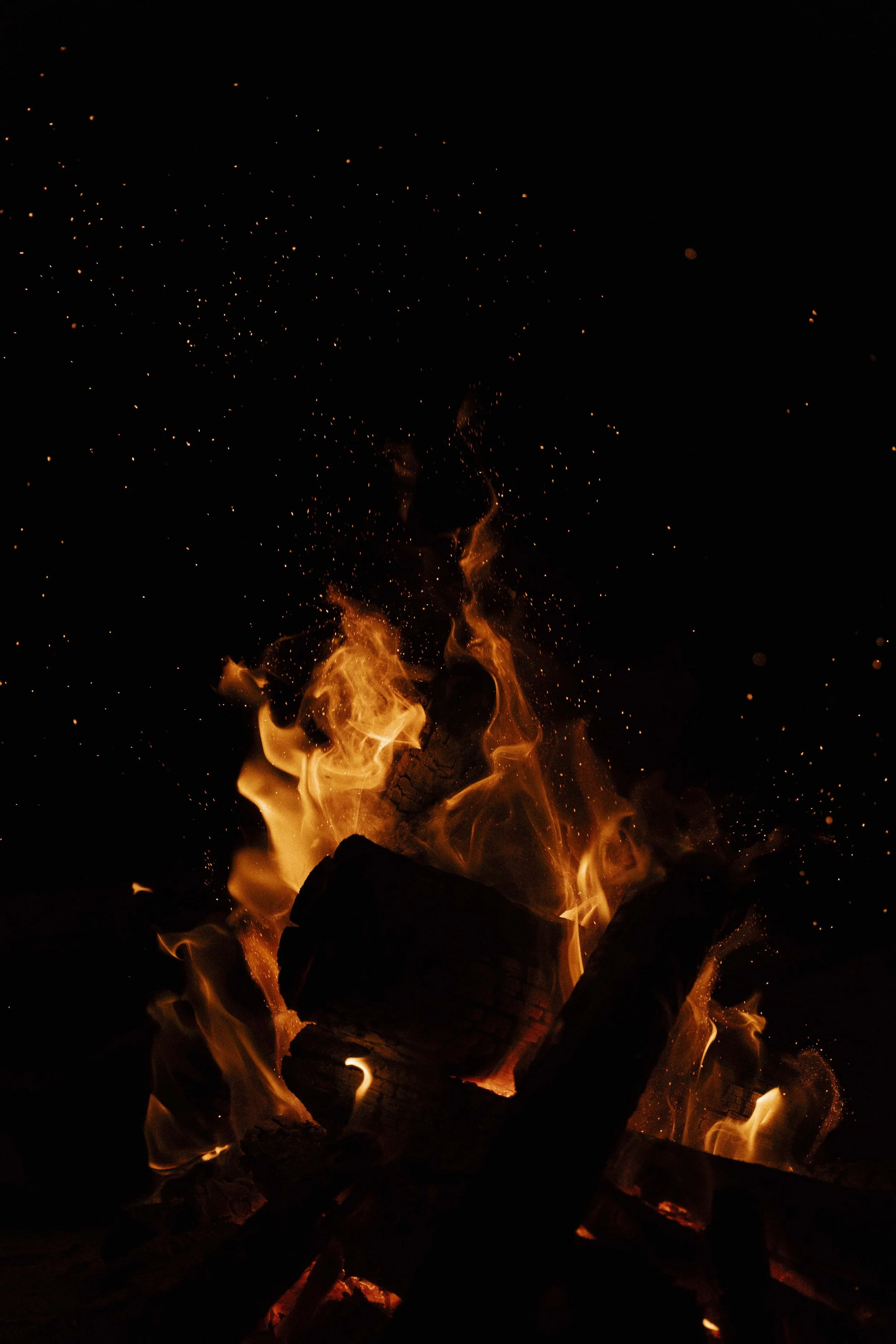 KLIPKOPJE WEBSITE-03942.jpg
