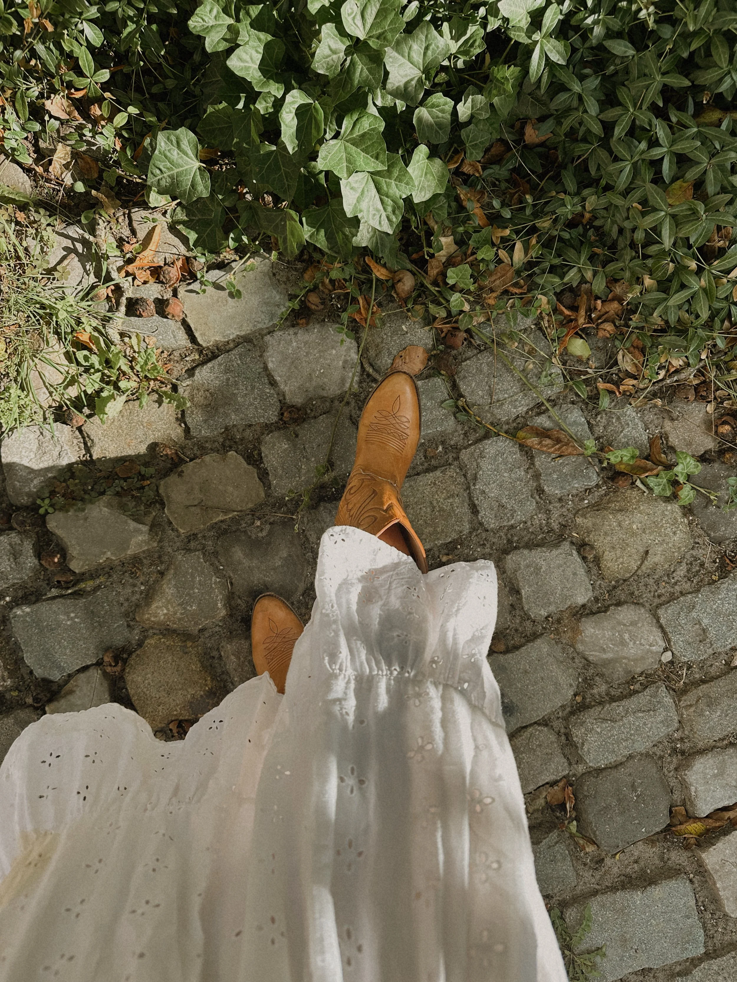 A person's feet in brown cowboy boots standing on cobblestone pavement next to green ivy plants and fallen leaves.