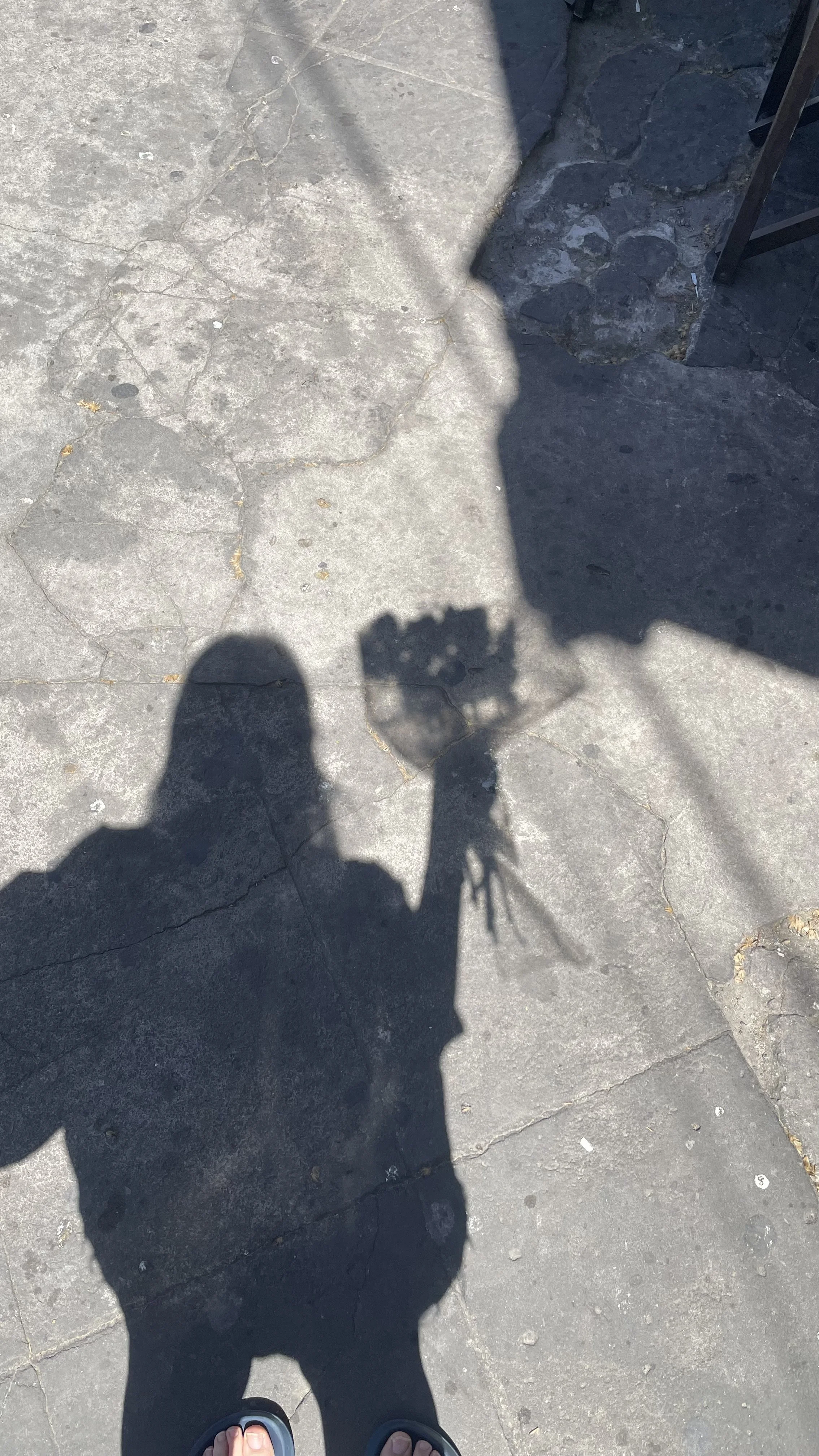 Sunlight casts shadows Samantha Flores holding a bouquet of flowers, on a cracked concrete sidewalk