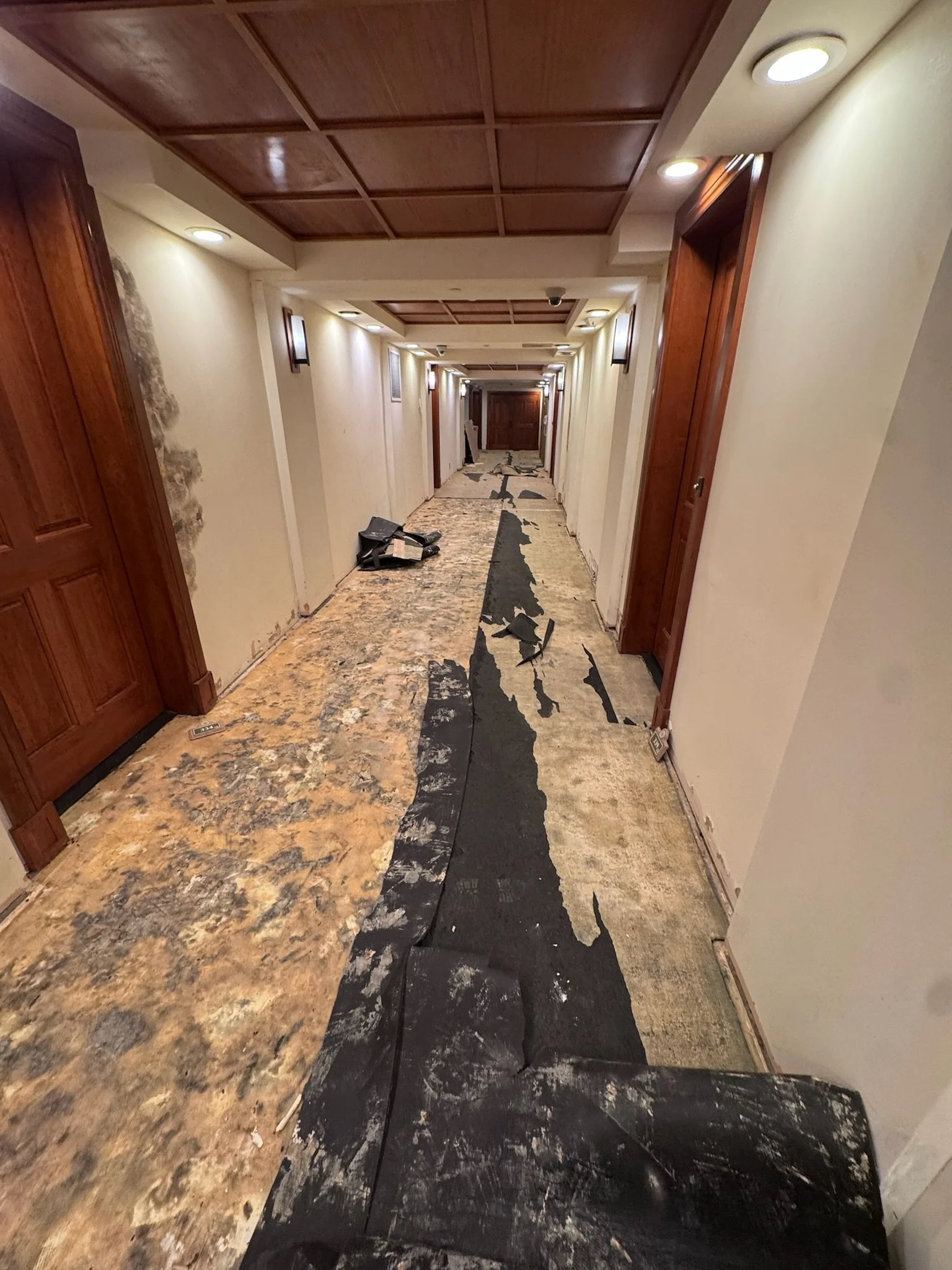 Hall way Demo