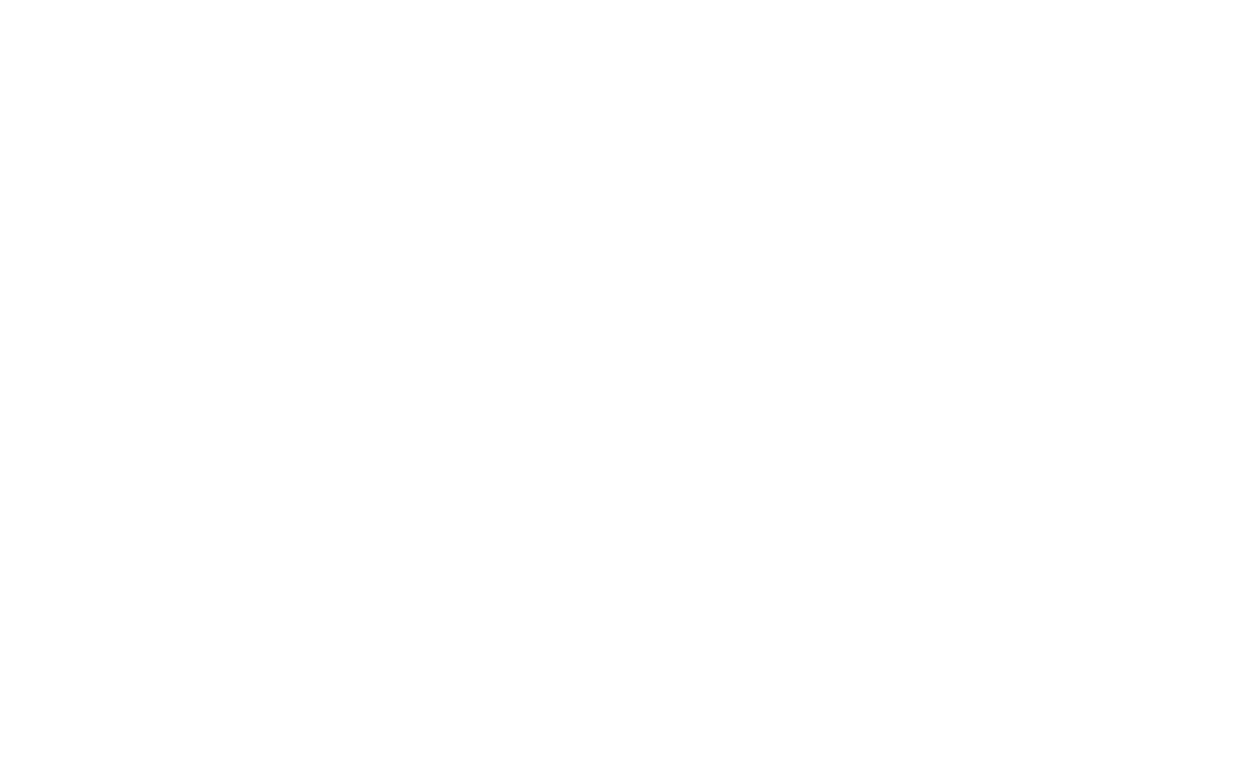 White New Balance logo
