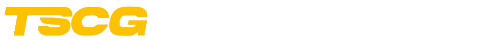 Logo of TSCG, a Taiwanese shoe component group, with text 'WEISHENG is part of the Taiwan Shoe Component Group' and 'TRANS SHOES, WEISHENG, CHINLI, DAGUANG'.