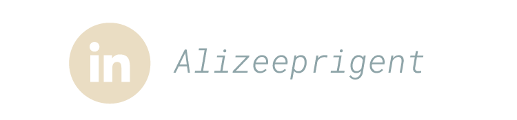 Logo de LinkedIn avec le nom 'AlizeePrigent'