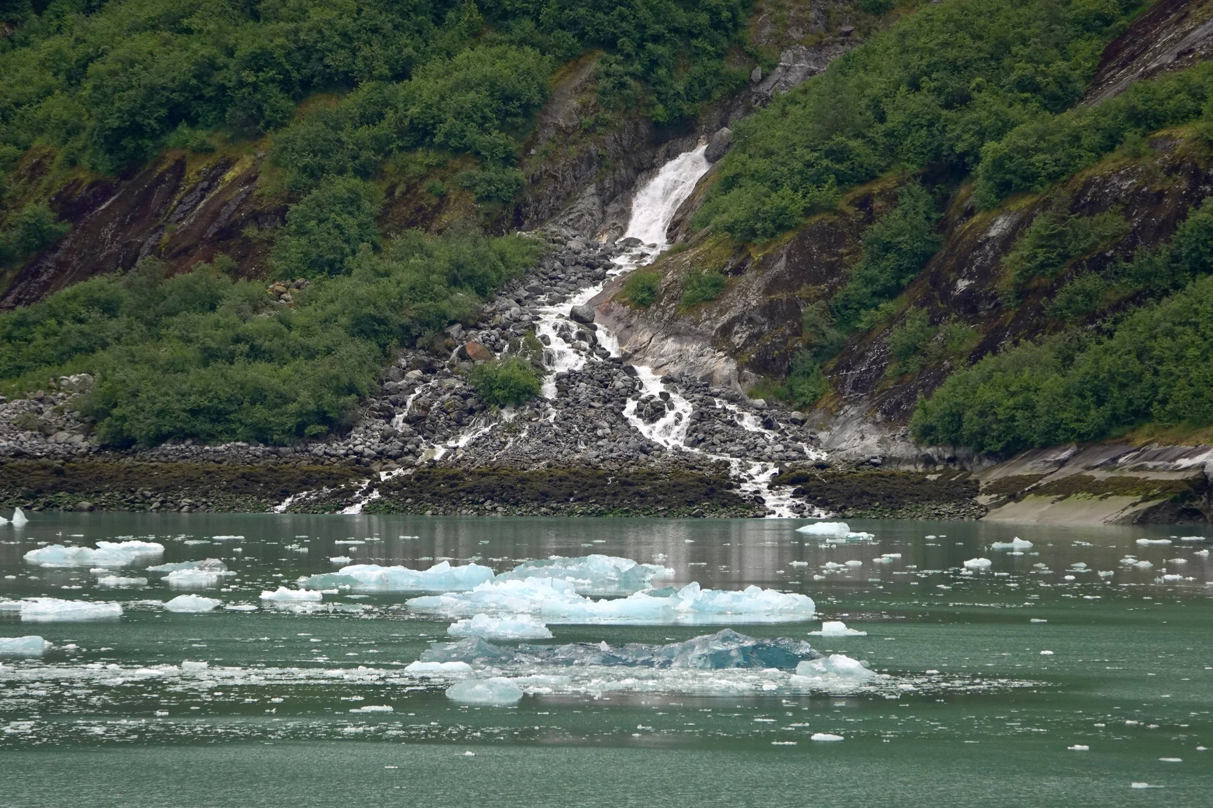 2025 - ALASKA
Royal Caribbean Alaskan Cruise