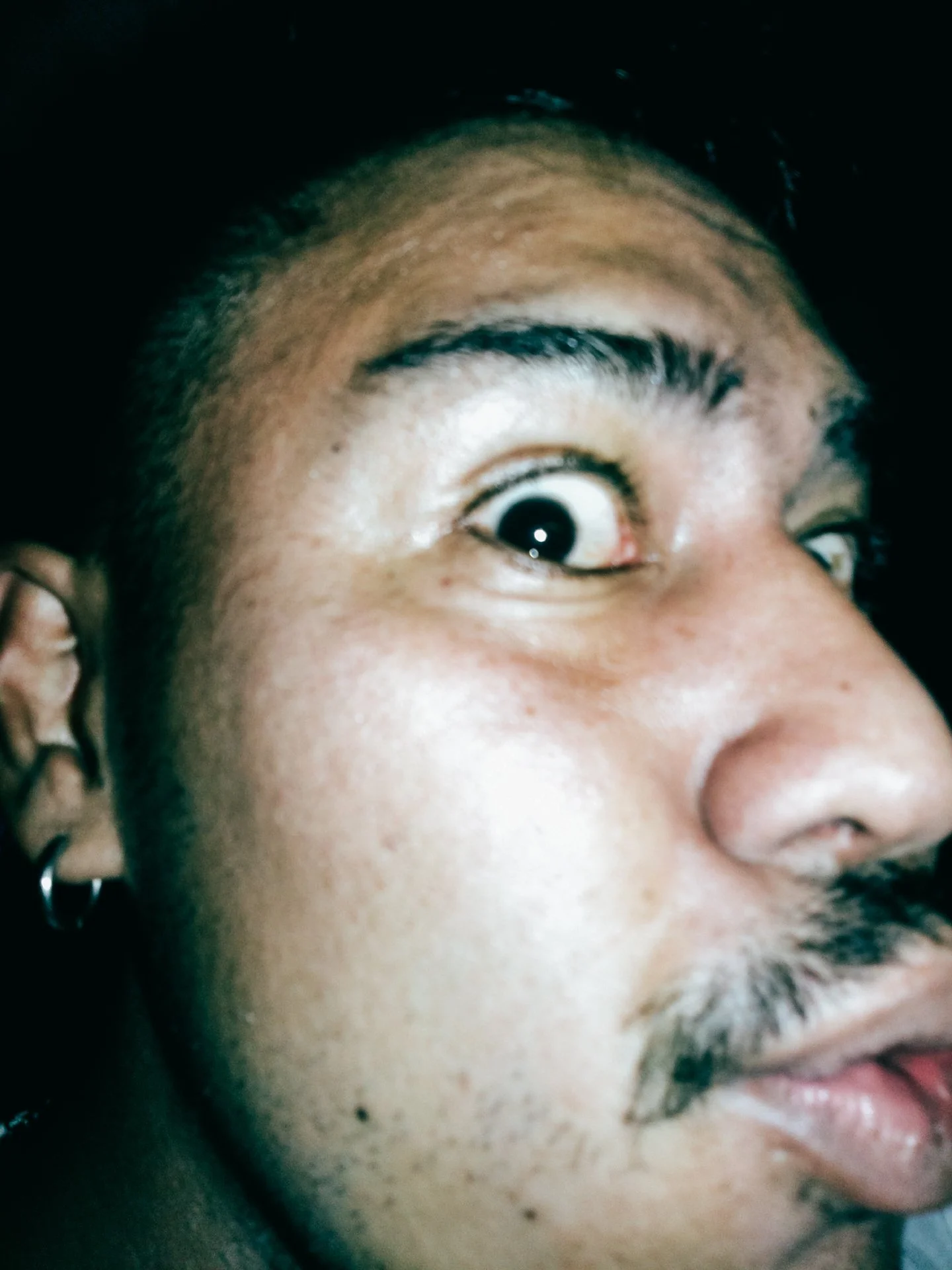 DSCF0091.jpg