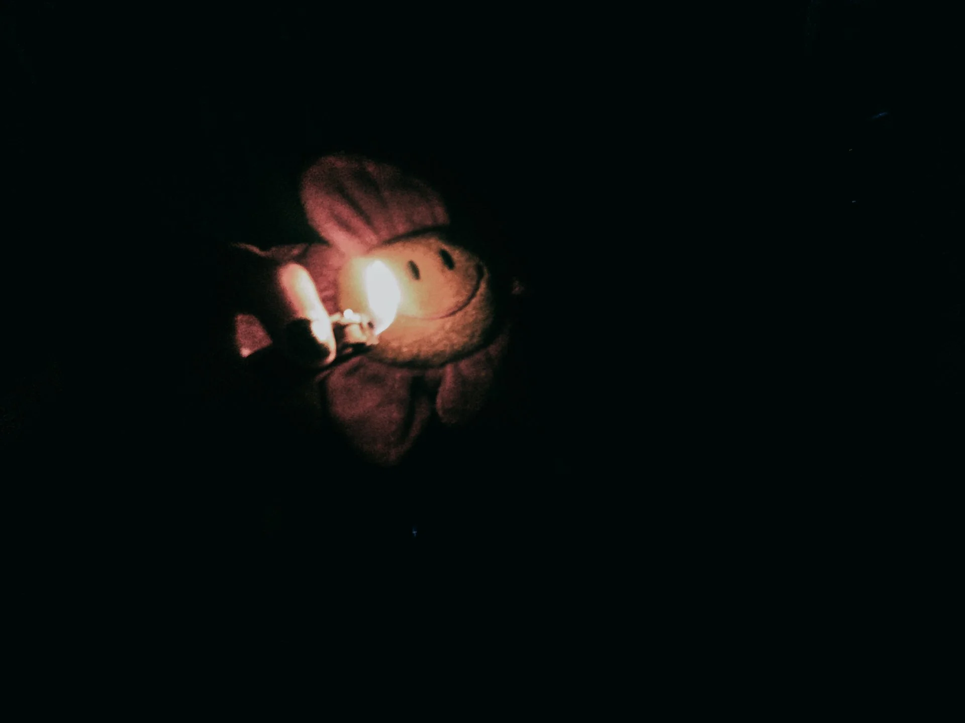 DSCF0208.jpg