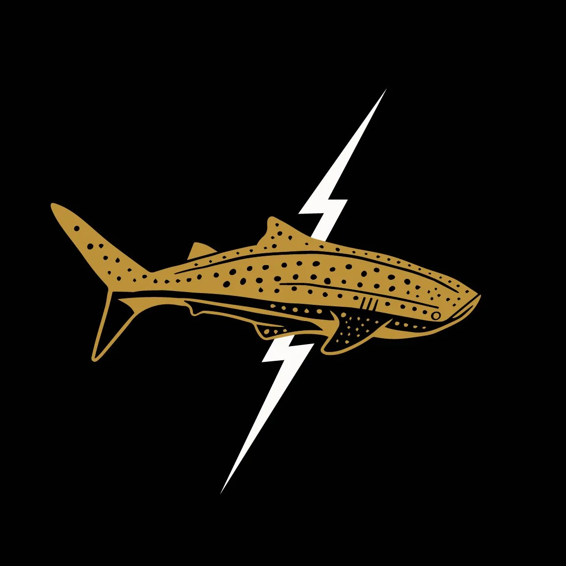 Whale Shark.jpg