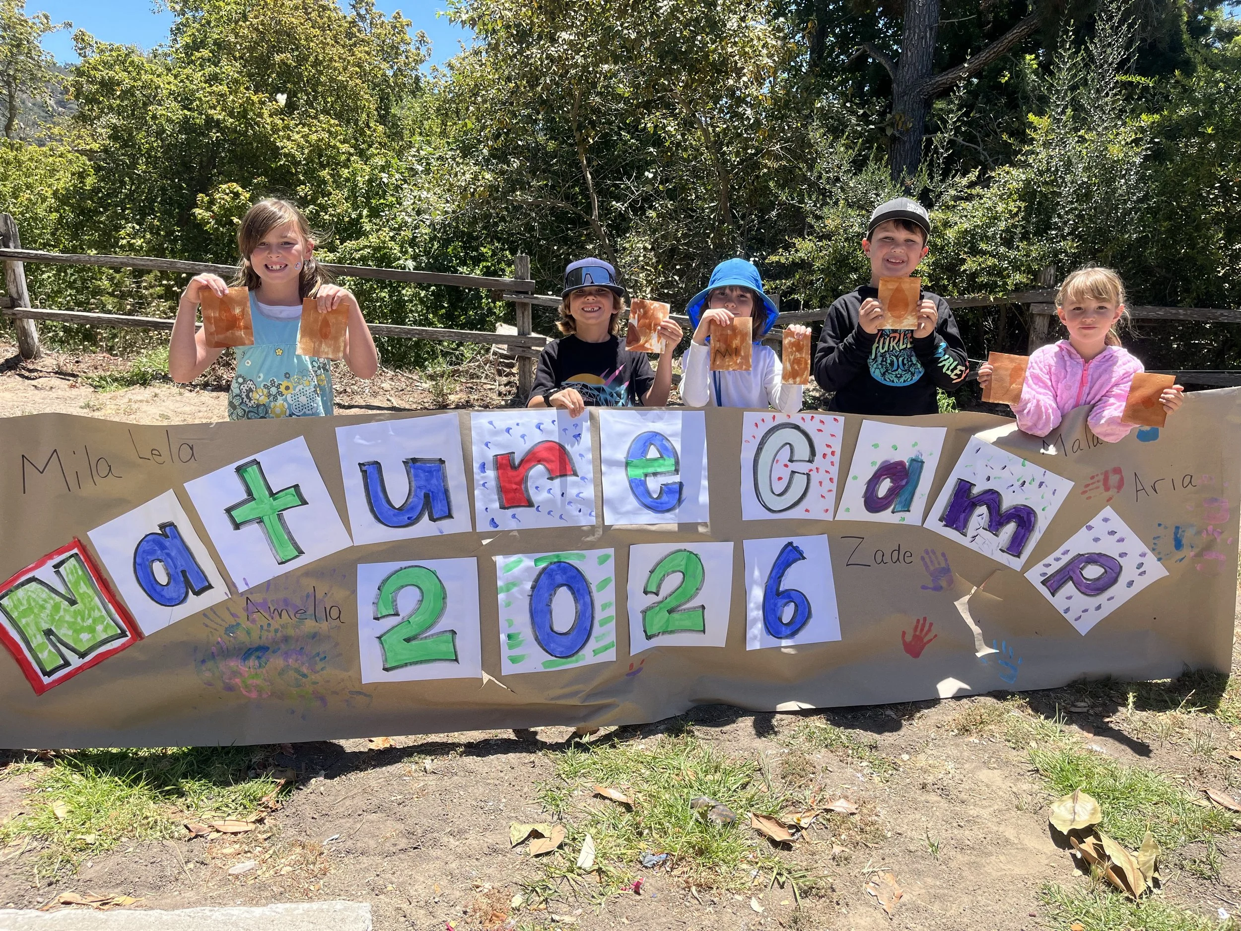 Summer Day Camp