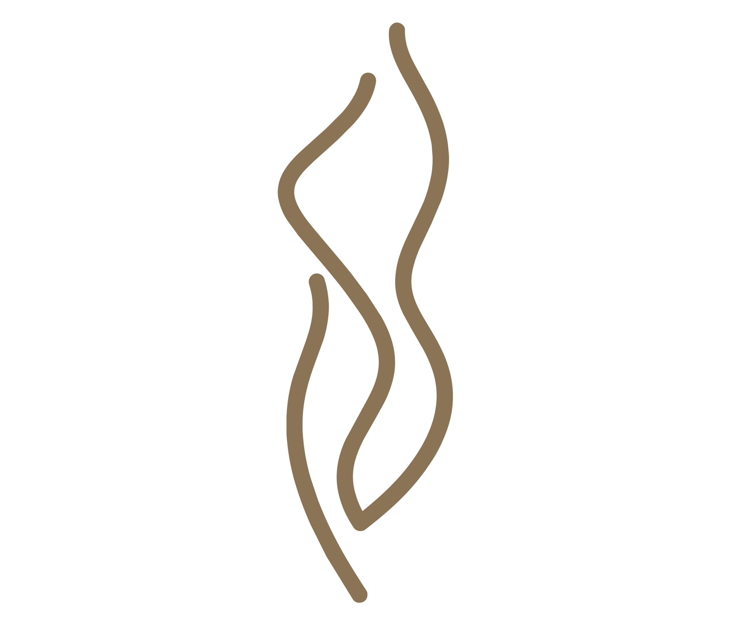 Stylized illustration of a human reproductive system with fallopian tubes and ovaries, depicted in brown lines on a black background.