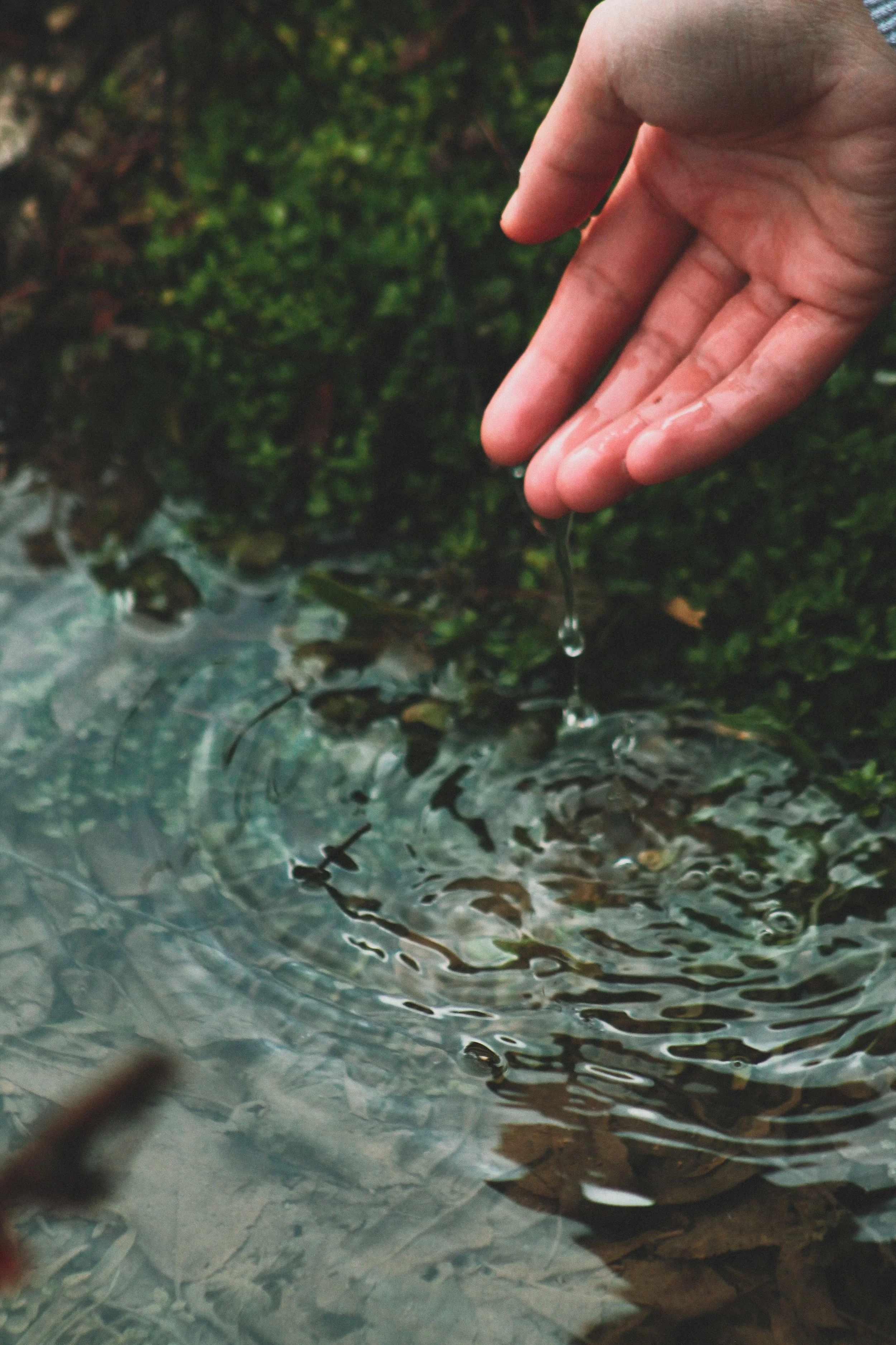 A close-up of a person's hand with wet fingers, reaching into water, with a background of green moss or algae.