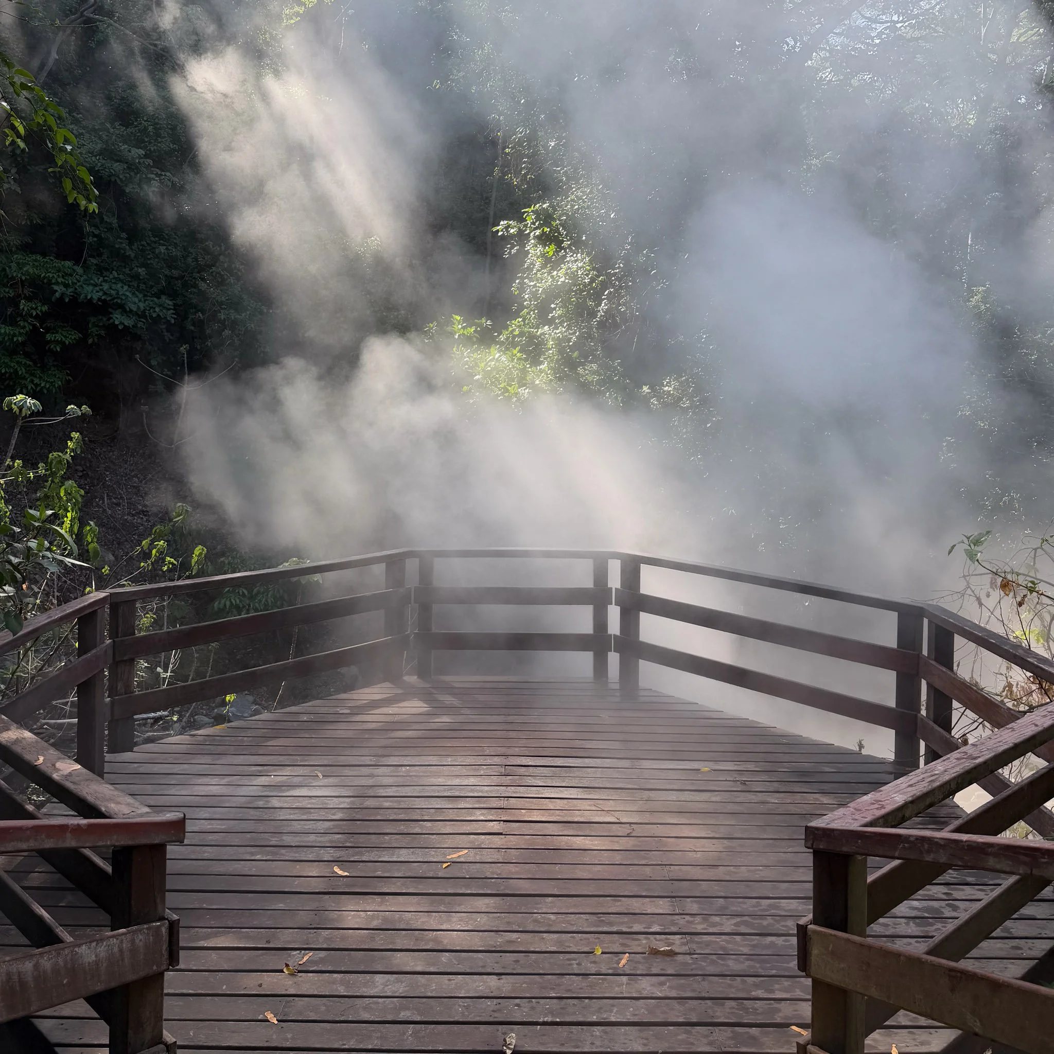 A wooden observation deck in a lush forest with mist rising from the trees.