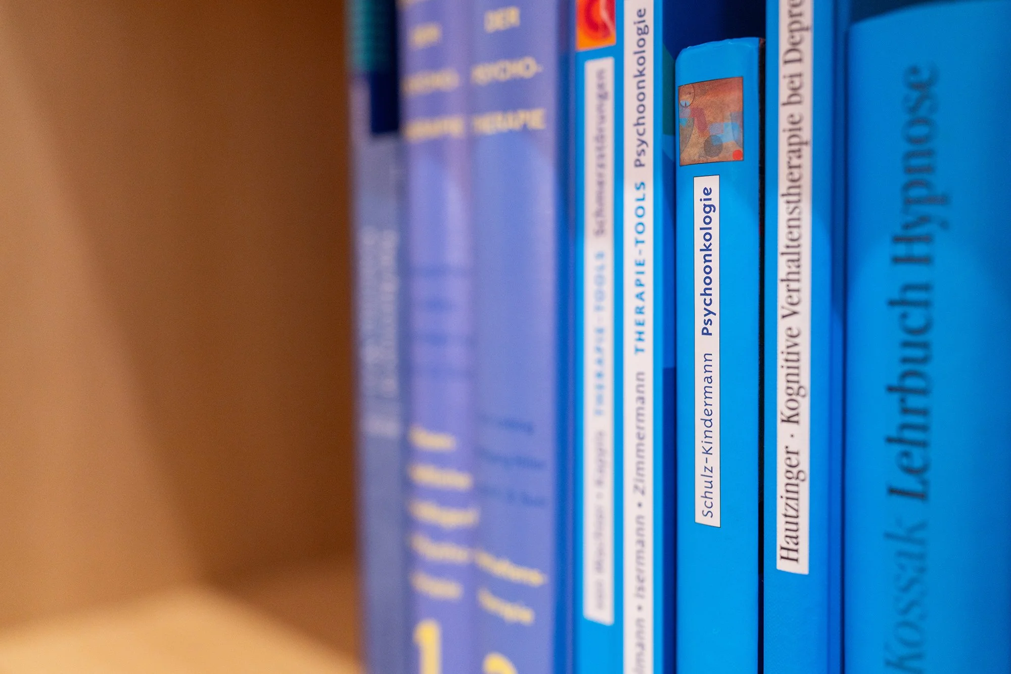 In einem Bücherregal in der Psychotherapiepraxis Sandra Hahn stehen psychotherapeutische Fachbücher. (Foto: Tobias Härtel)