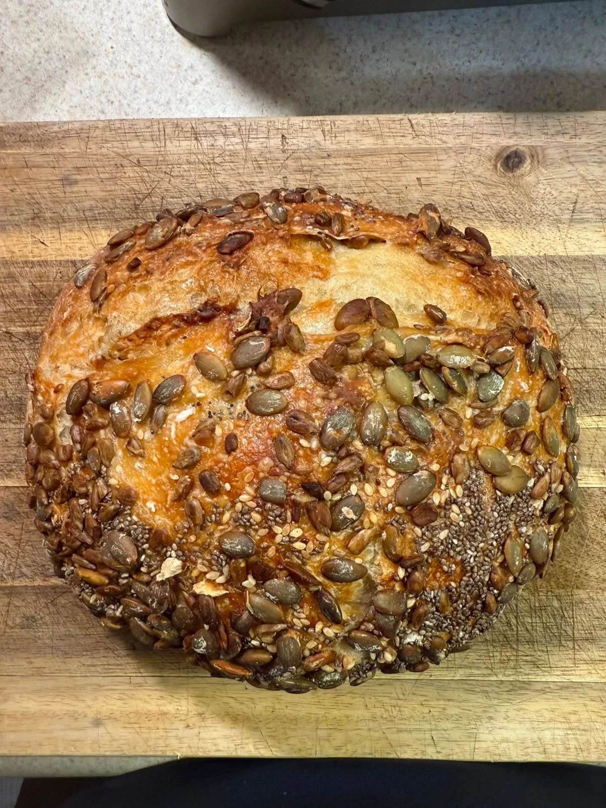 Harvest Seed