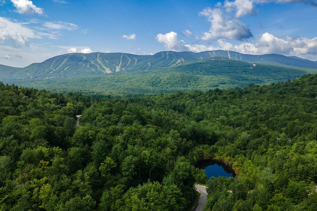 A mountain in the background with ski slopes, surrounded by dense green forest, with a small pond and a winding road in the foreground.