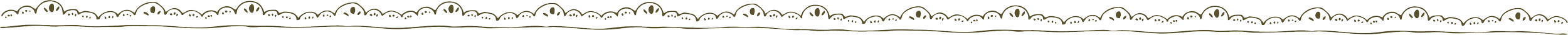 A decorative black border with silver accents at the top of the image.