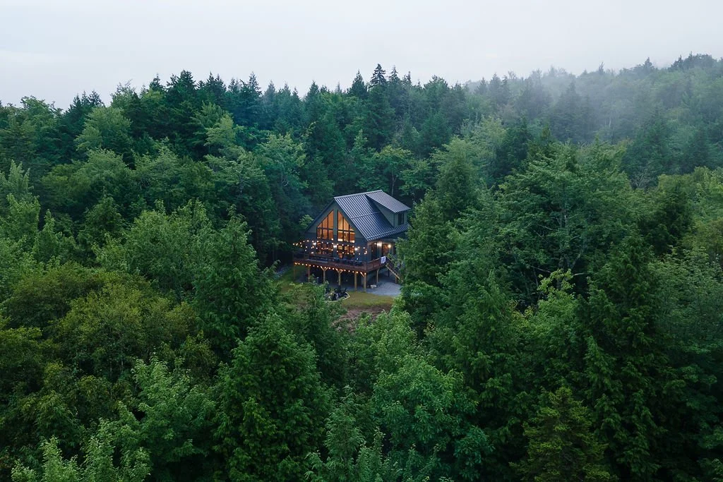 A house with large windows and string lights on a deck surrounded by dense green forest in a mountainous area.
