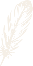 Feather - Calm, gentle, stillness, softness - experience this with reiki