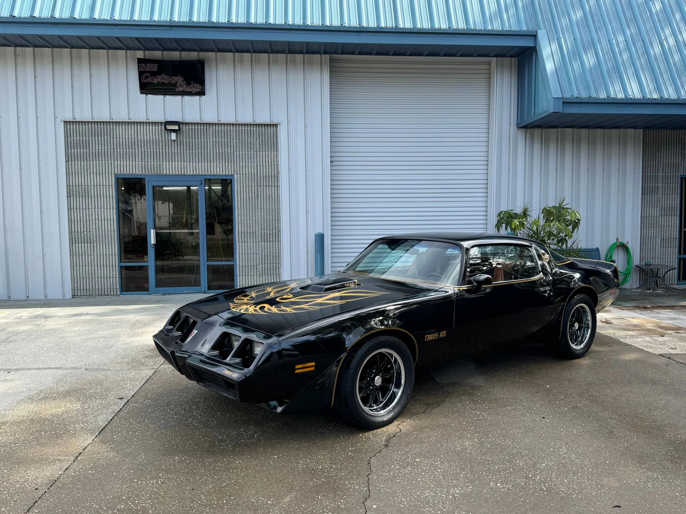 1980 Trans Am Tribute