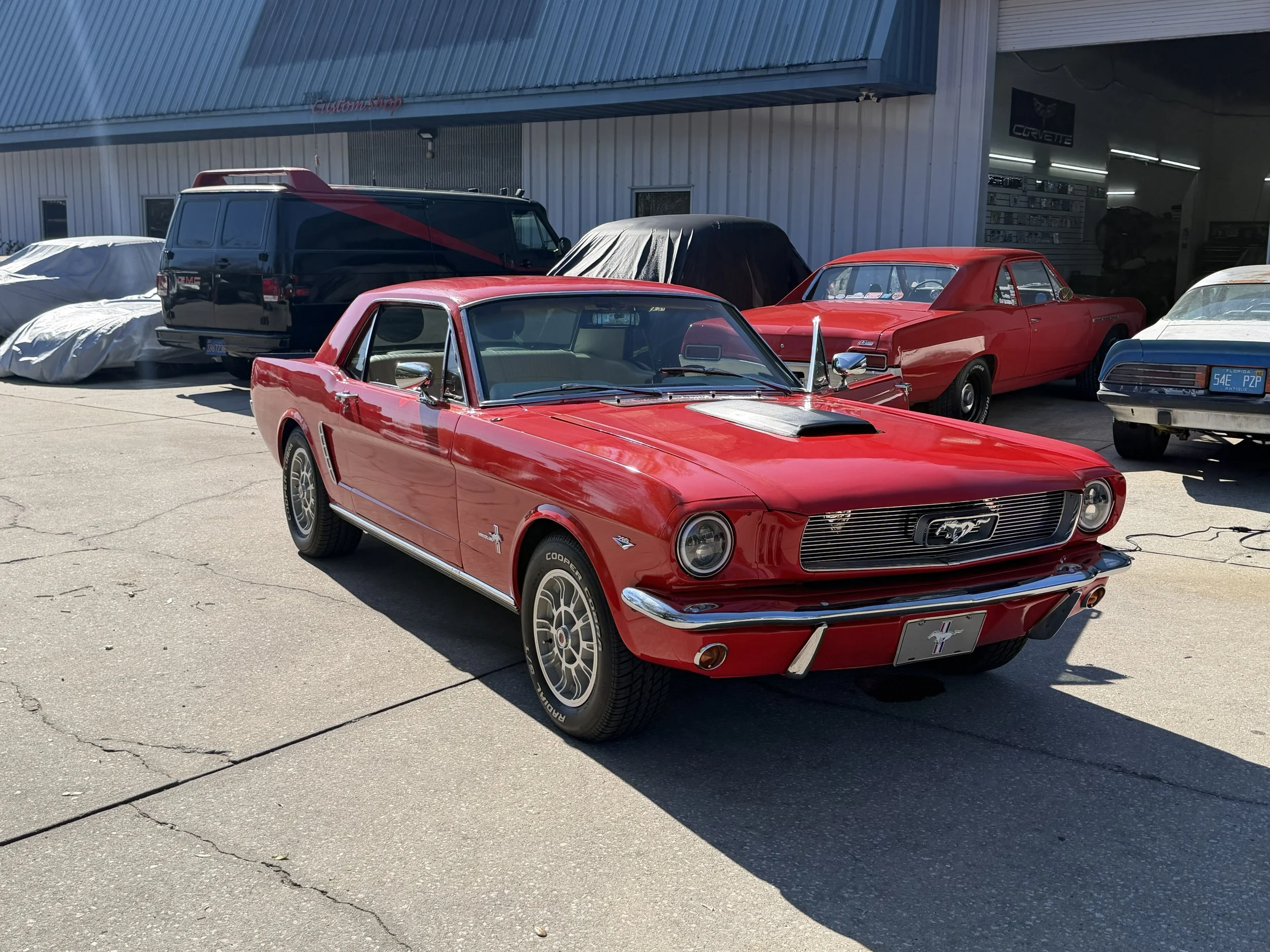 Mustangs