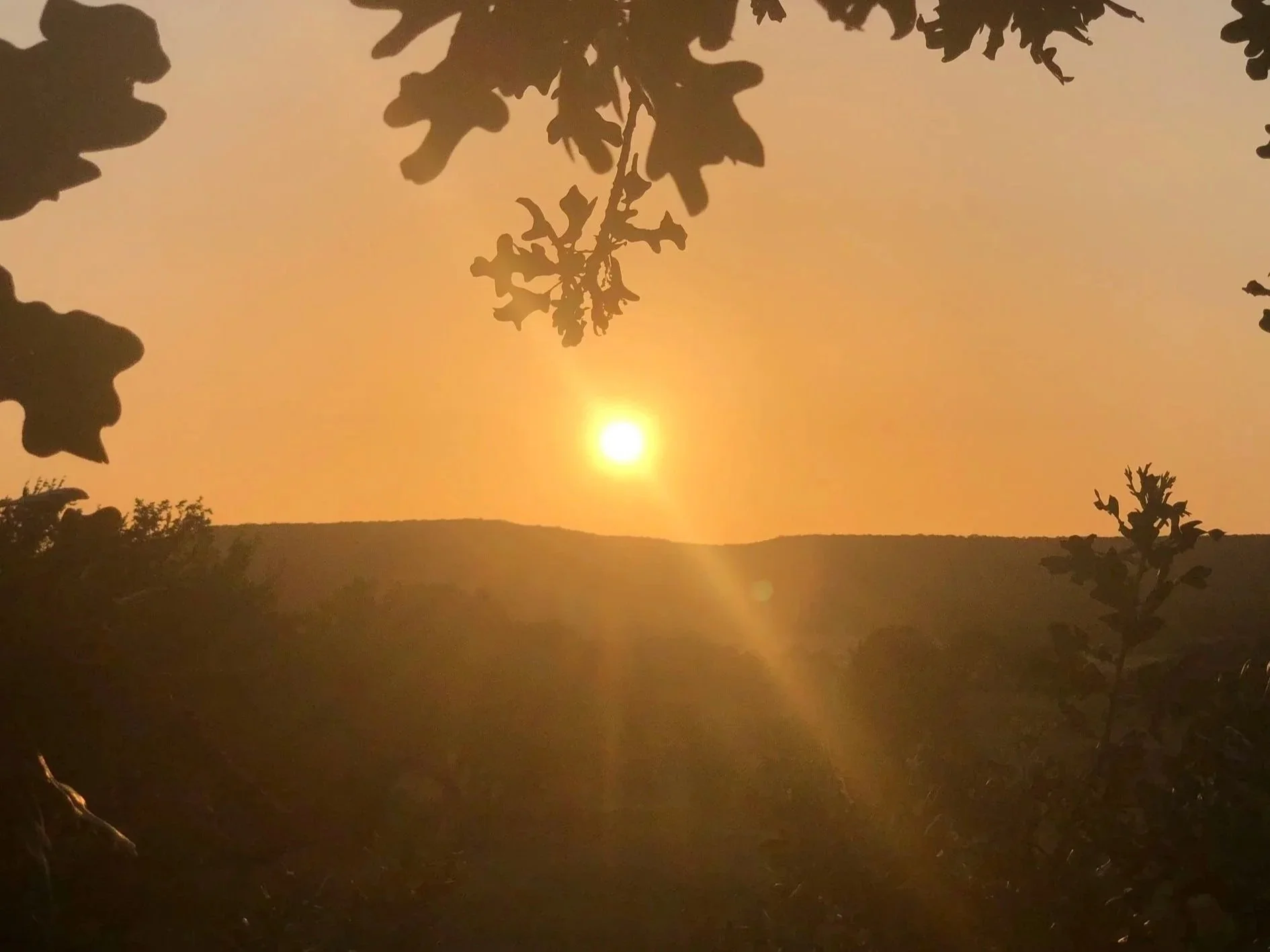Sunset over a forested landscape with trees silhouetted against an orange sky.