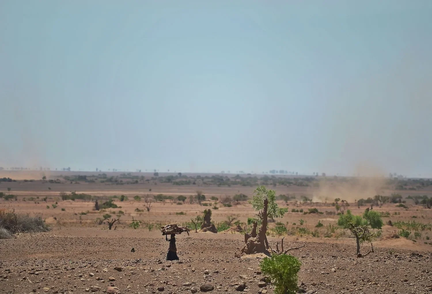 In Northern Kenya, the Climate Crisis Shifts Gender Roles