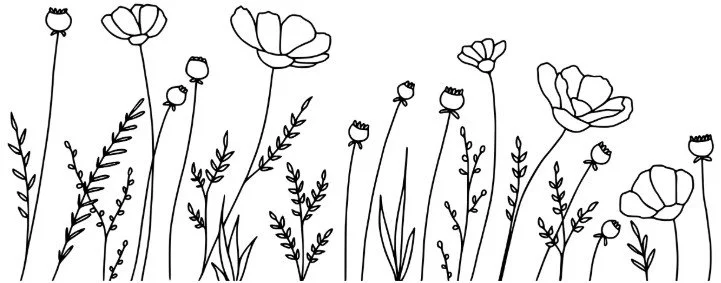 Line drawing of various flowers and plants with blooming flowers and buds.