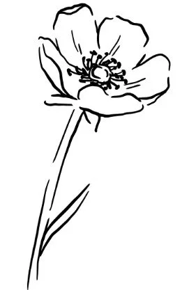 A simple black and white line drawing of a flower with a stem and petals.