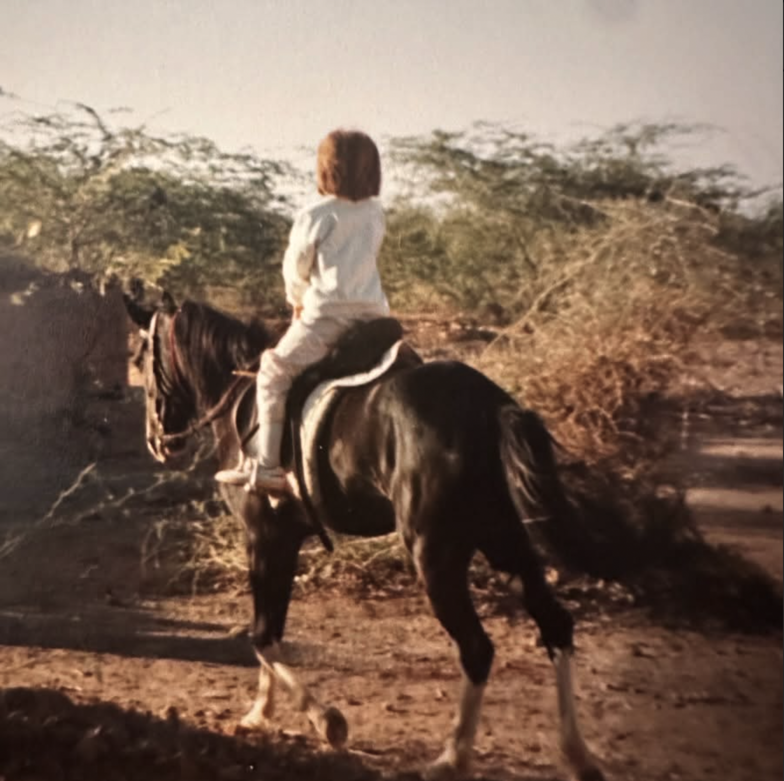 Junge Person reitet auf einem schwarzen Pferd durch eine trockene Gebirgslandschaft bei Sonnenuntergang.