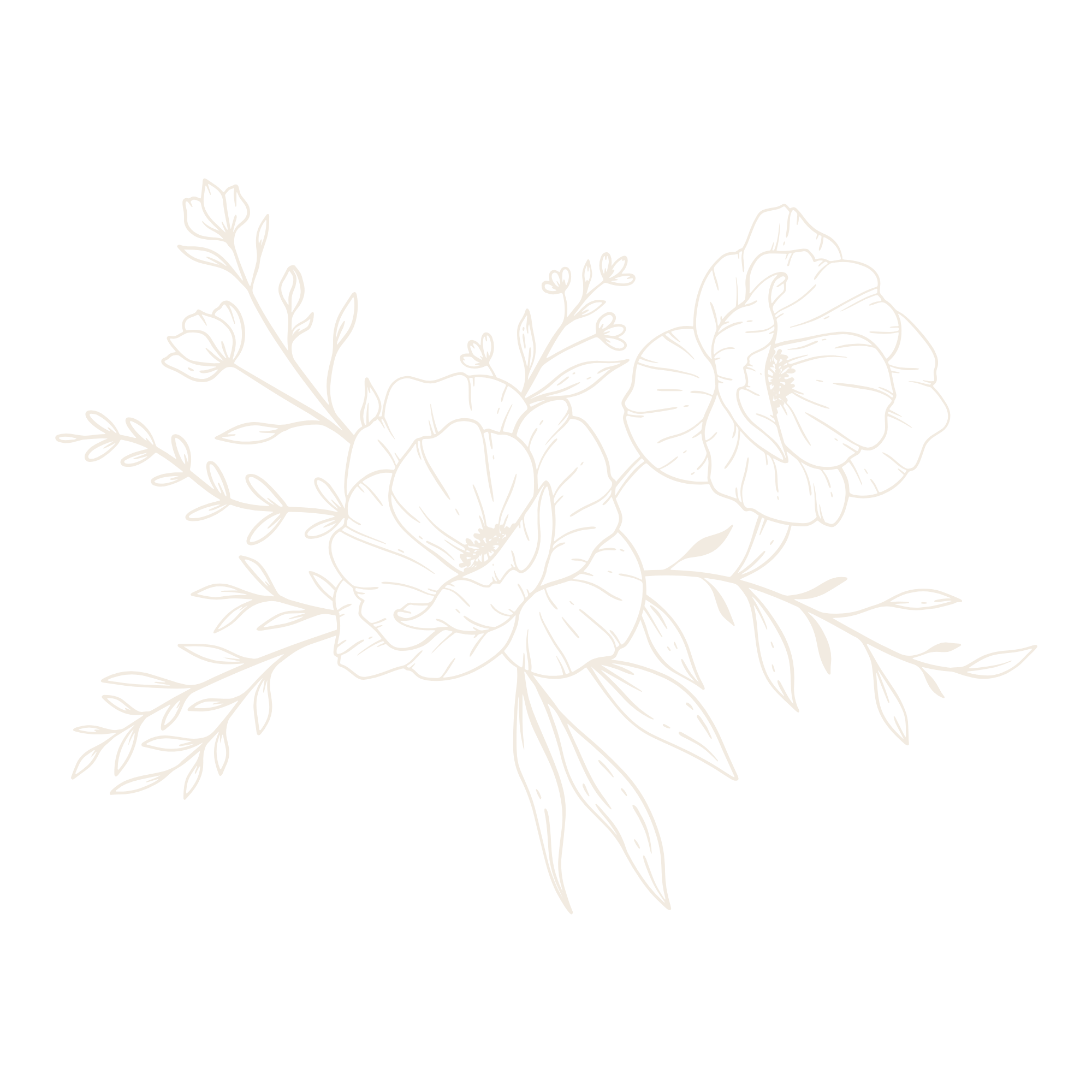 White floral outline illustration on black background with space for text.