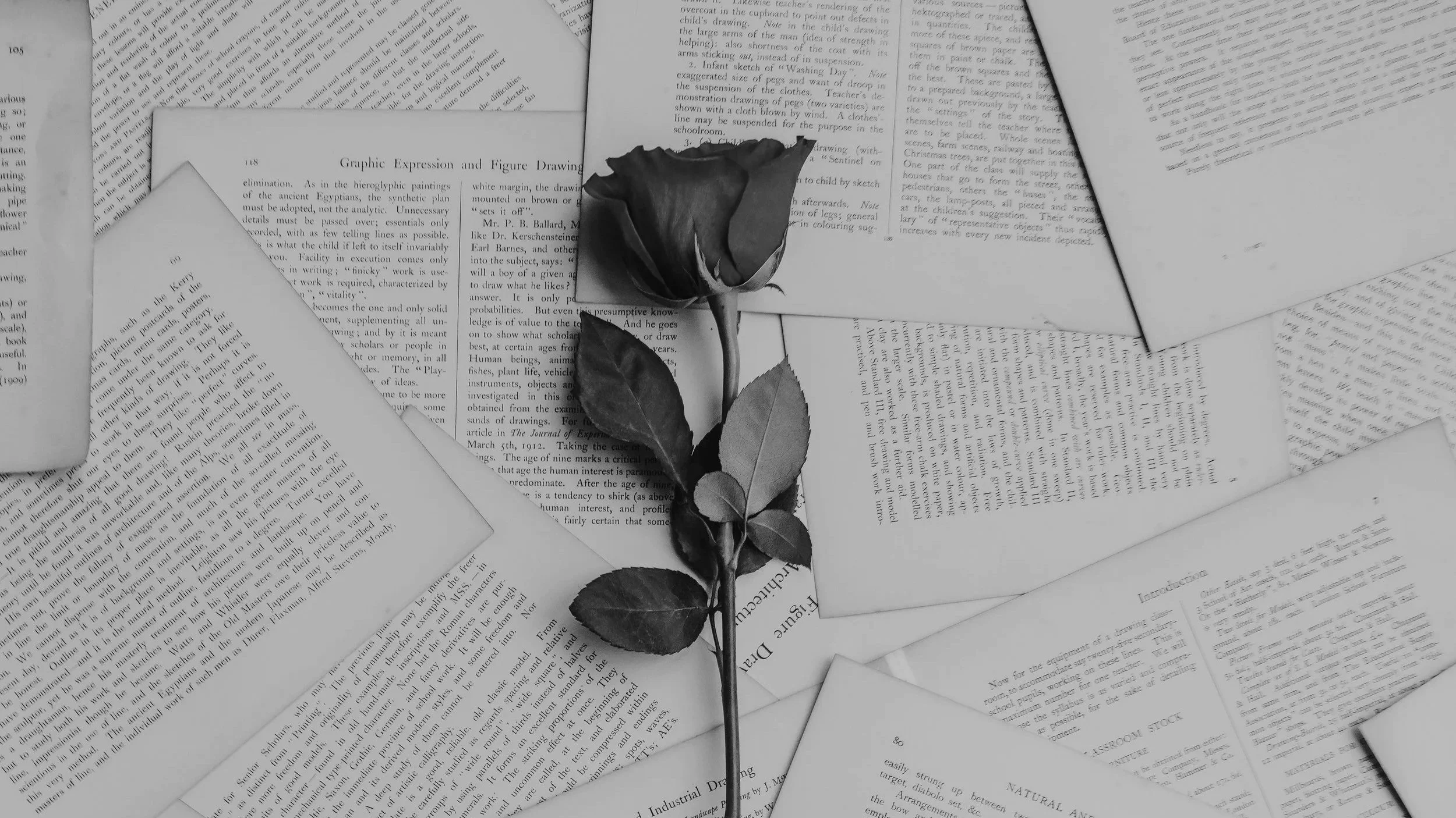 Photography: Annie Spratt via Unsplash