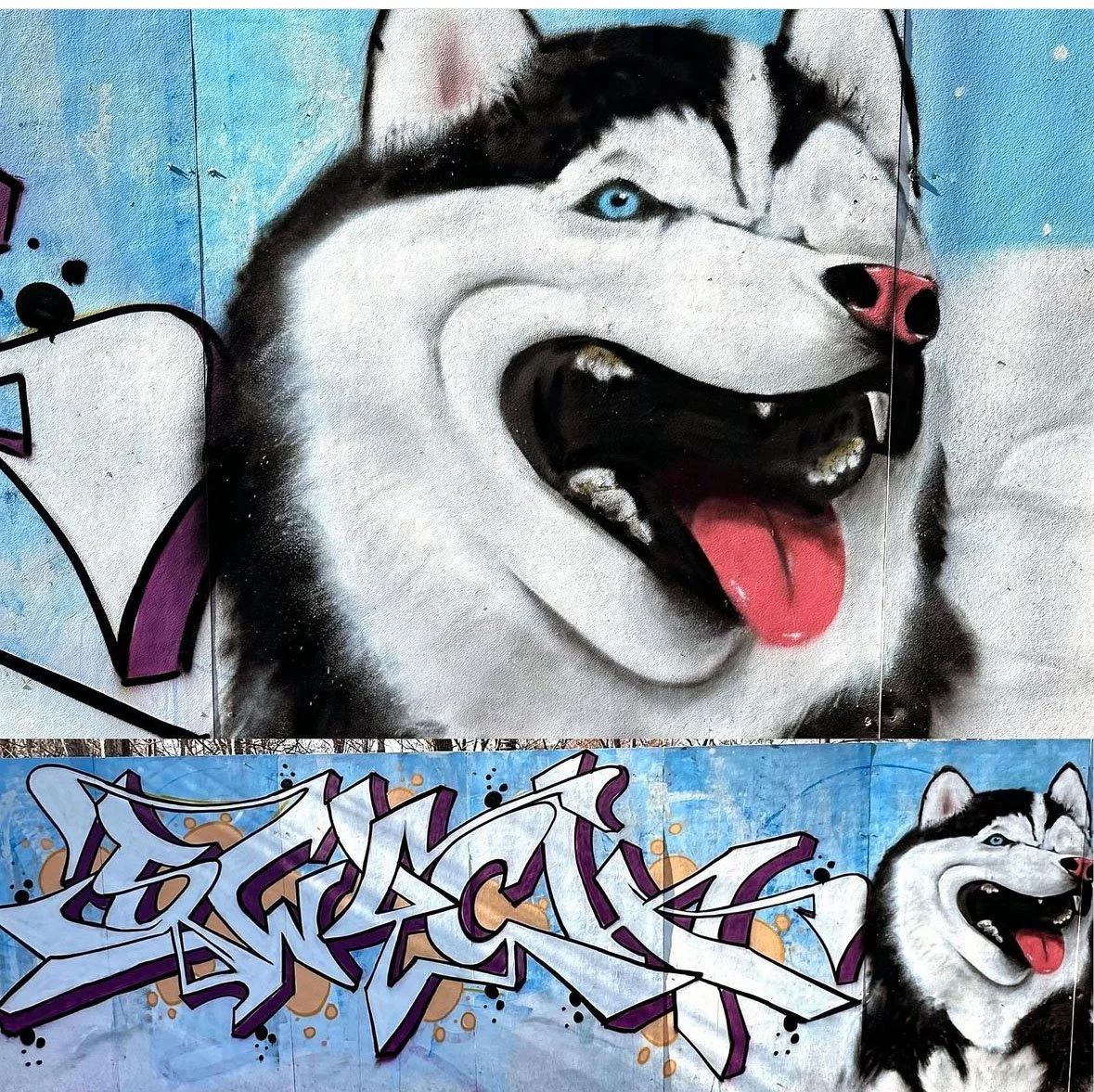 SWYCH_2.jpg