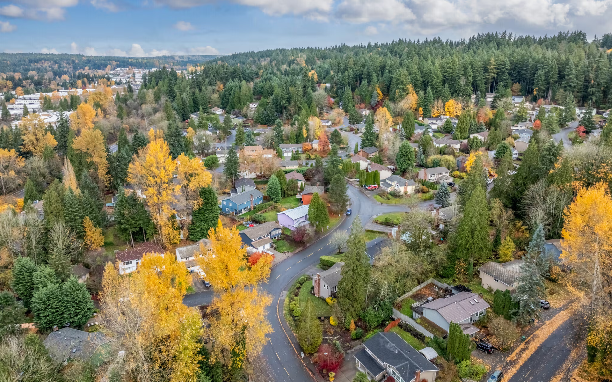 Aerial view of residential neighborhoods surrounded by trees in Woodinville, Washington.