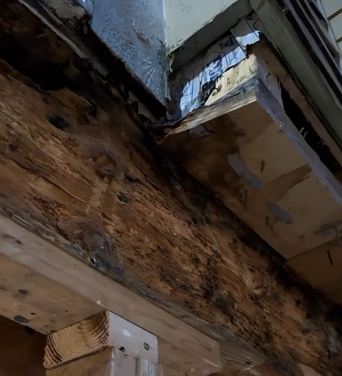 Close-up of damaged and rotting wooden boards and framing in a building's interior, with damaged drywall and part of a window visible.