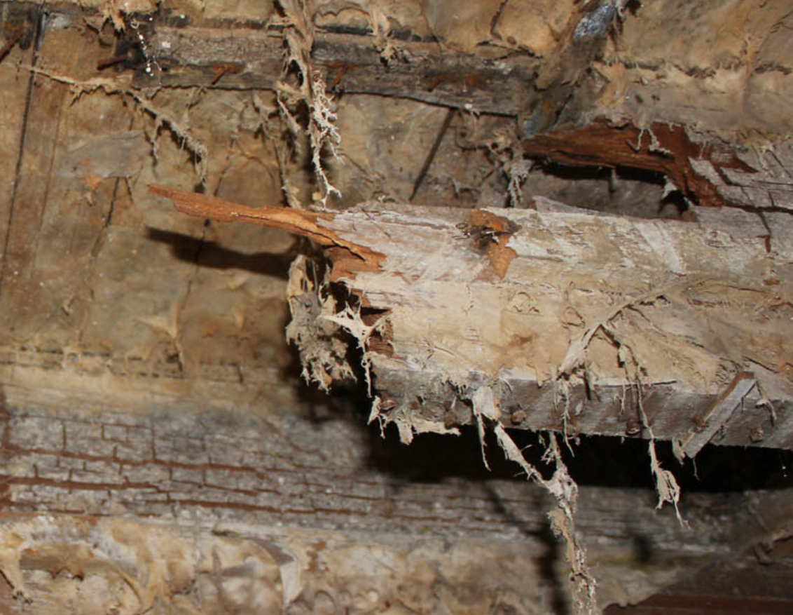 Rotted wood framing repair by F&M Construction & Remodeling, serving Bellevue, Seattle, and the Eastside.