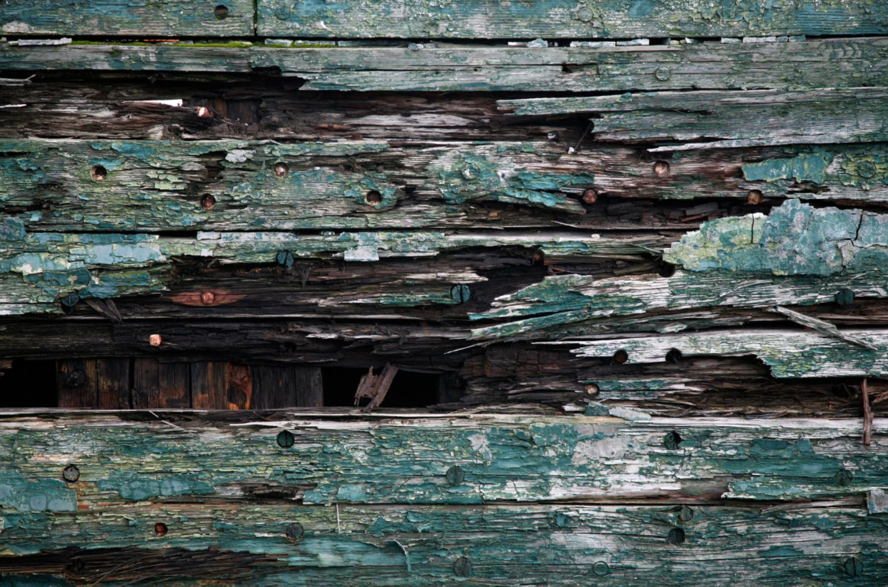 Exterior wood wet rot repair by F&M Construction & Remodeling, serving Bellevue, Seattle, and the Eastside.