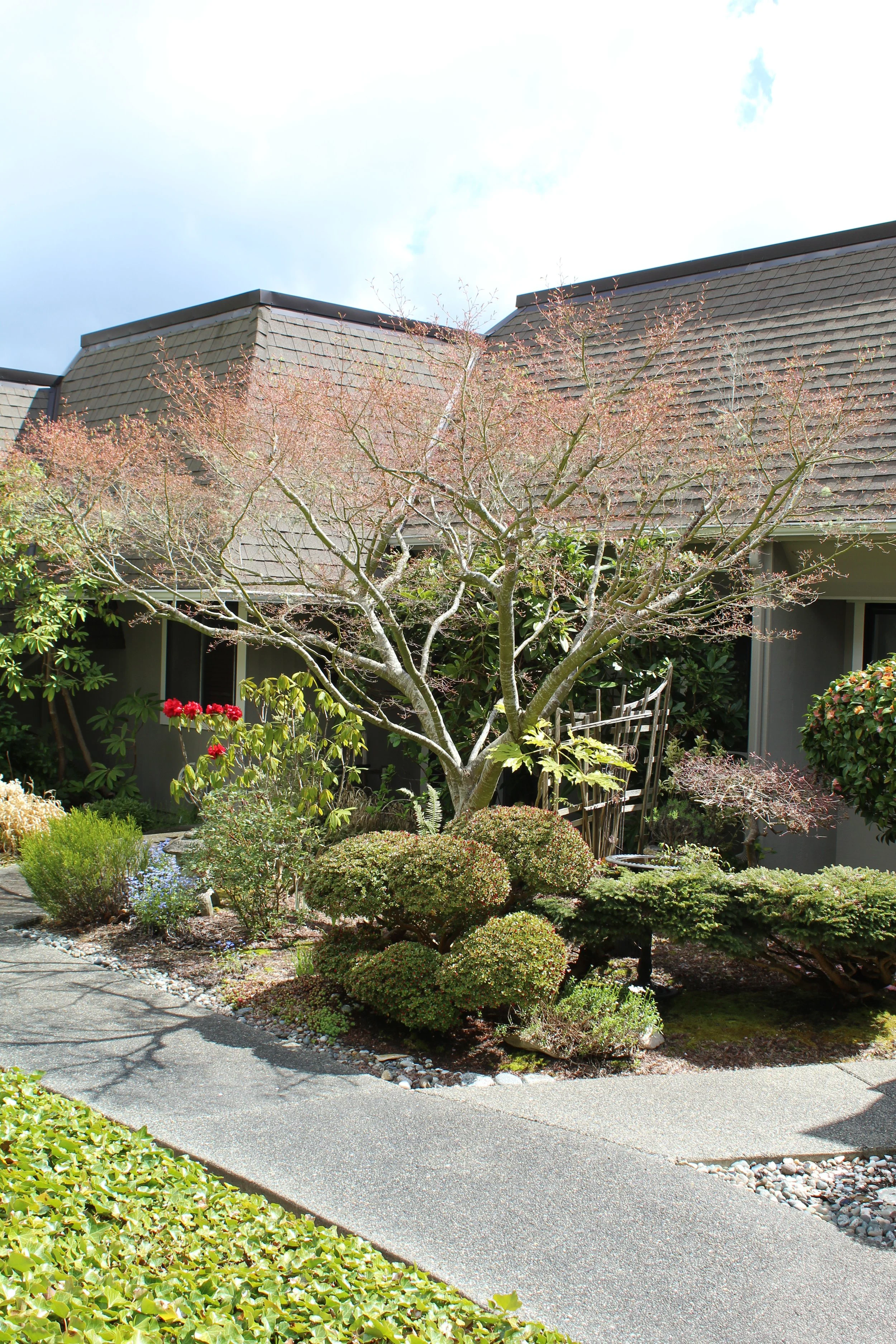 Front yard landscape design by F&M Construction & Remodeling on Whidbey Island, WA, serving Bellevue, Seattle, and the Eastside.