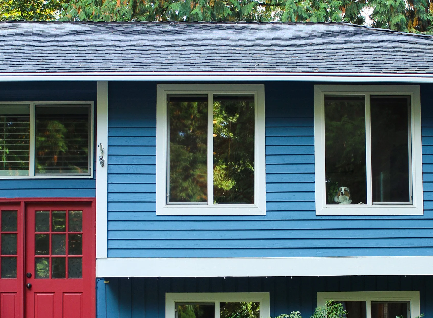 Front view of a two-story house painted blue with white trim, red door with glass panes, and two large windows on the second floor. A dog with a black and white coat is looking out of the right window.