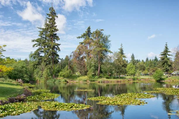 Scenic Medina park featuring lakefront views and mature landscaping in Medina, Washington.
