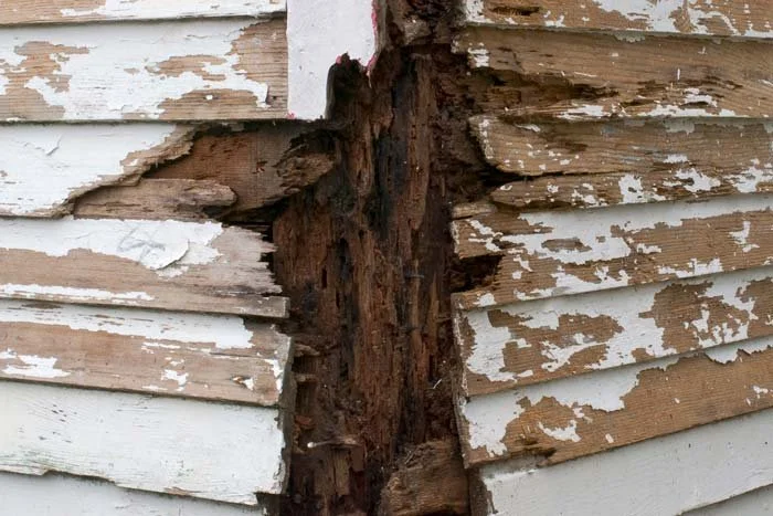 Why Wood Rot Is So Common in Washington Homes and What Homeowners Should Know