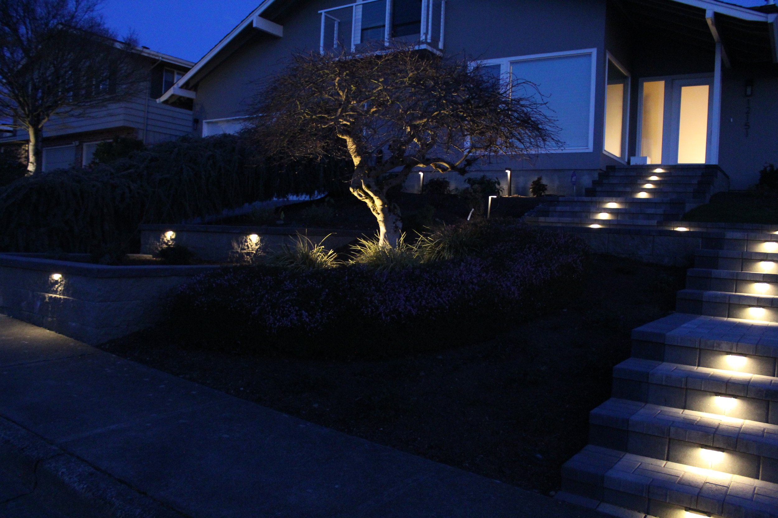 Front yard landscape lighting by F&M Construction & Remodeling in Bellevue, WA, serving Seattle and the Eastside.