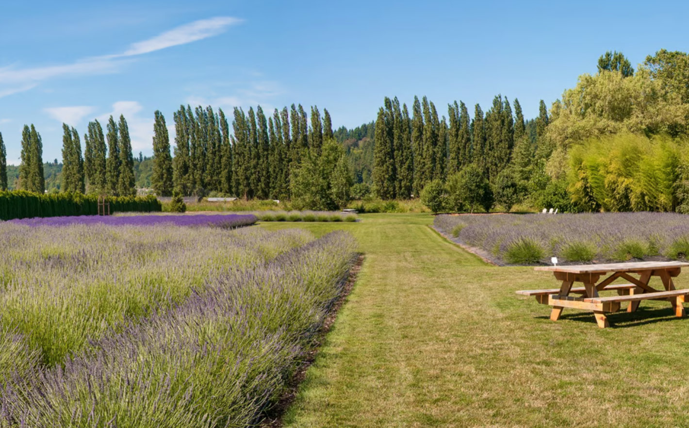 Lavender fields and scenic farmland in Woodinville, Washington wine country.
