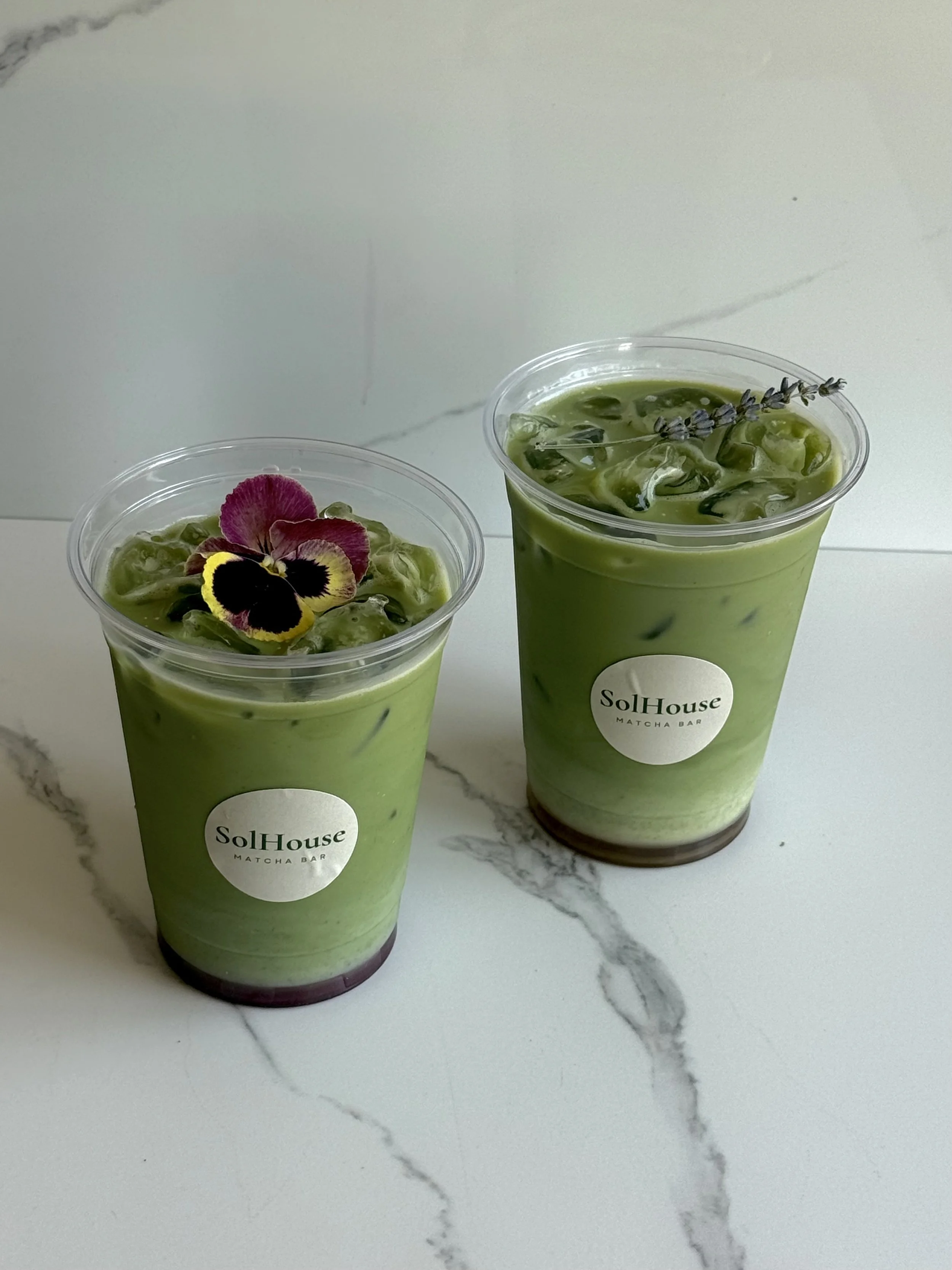Matcha Lattes Bay Area 