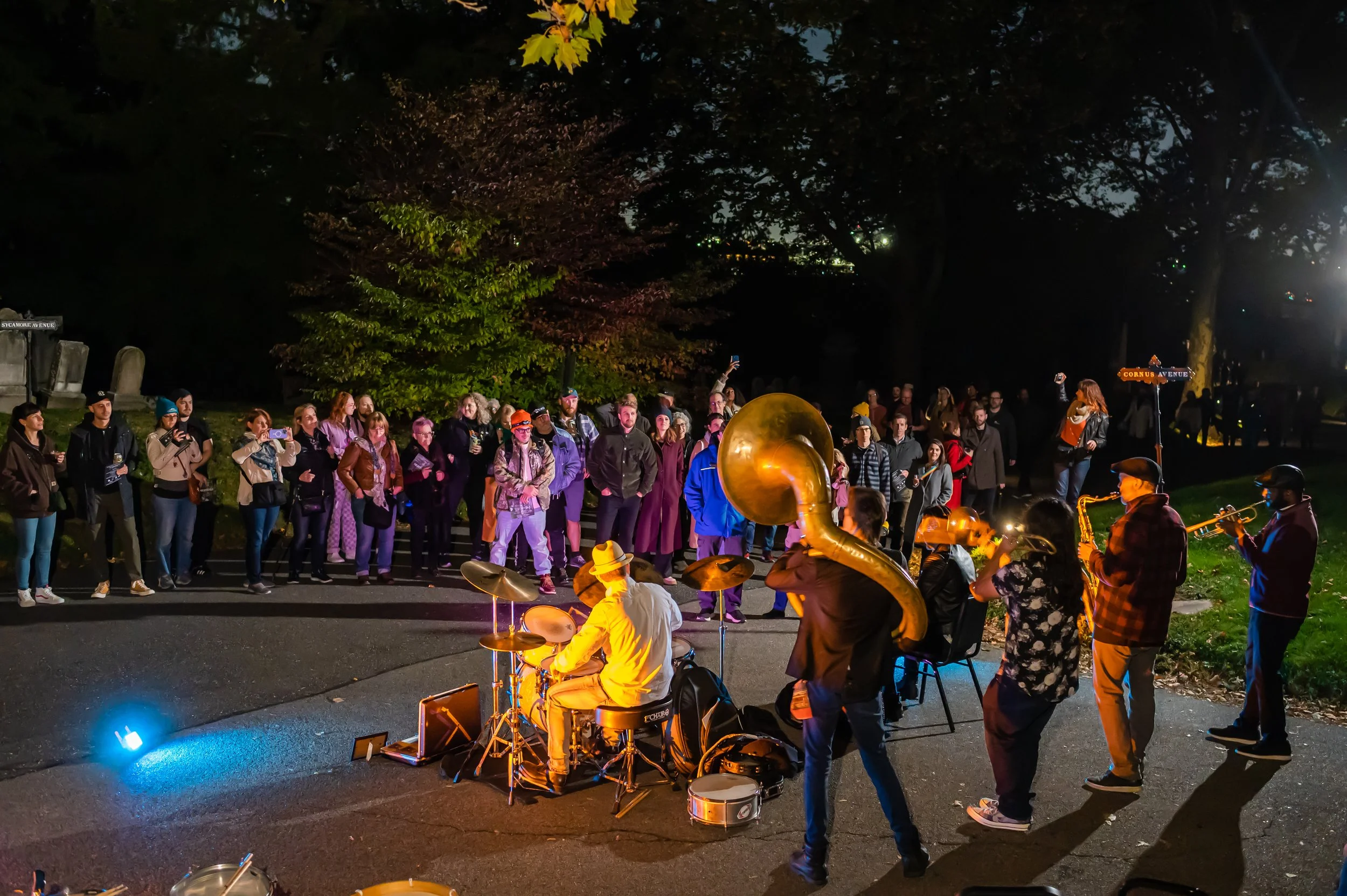 _MSZ7791.jpg