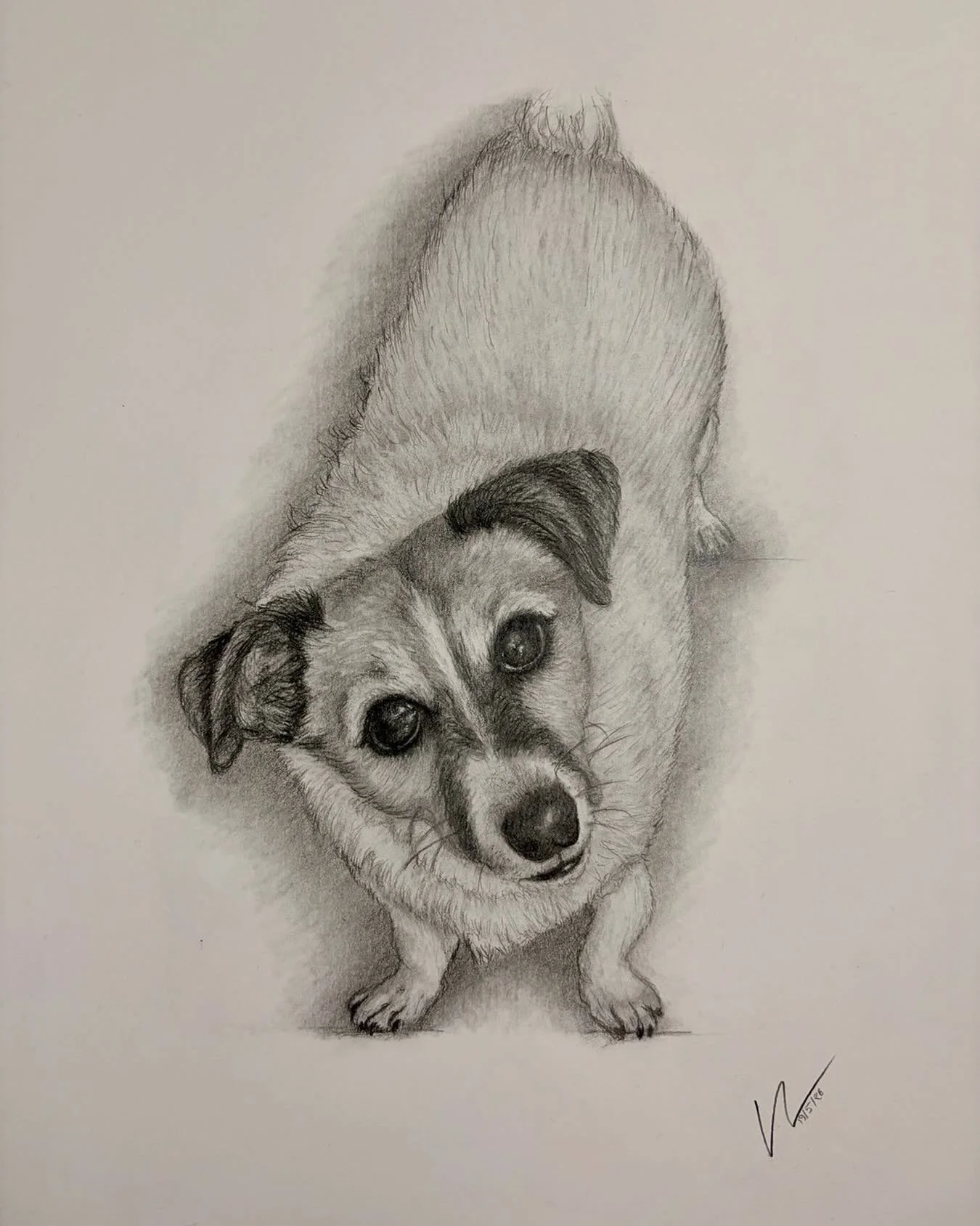 Chi chi&rsquo;s portrait.
#realismdrawing #petsportrait #pencilartwork