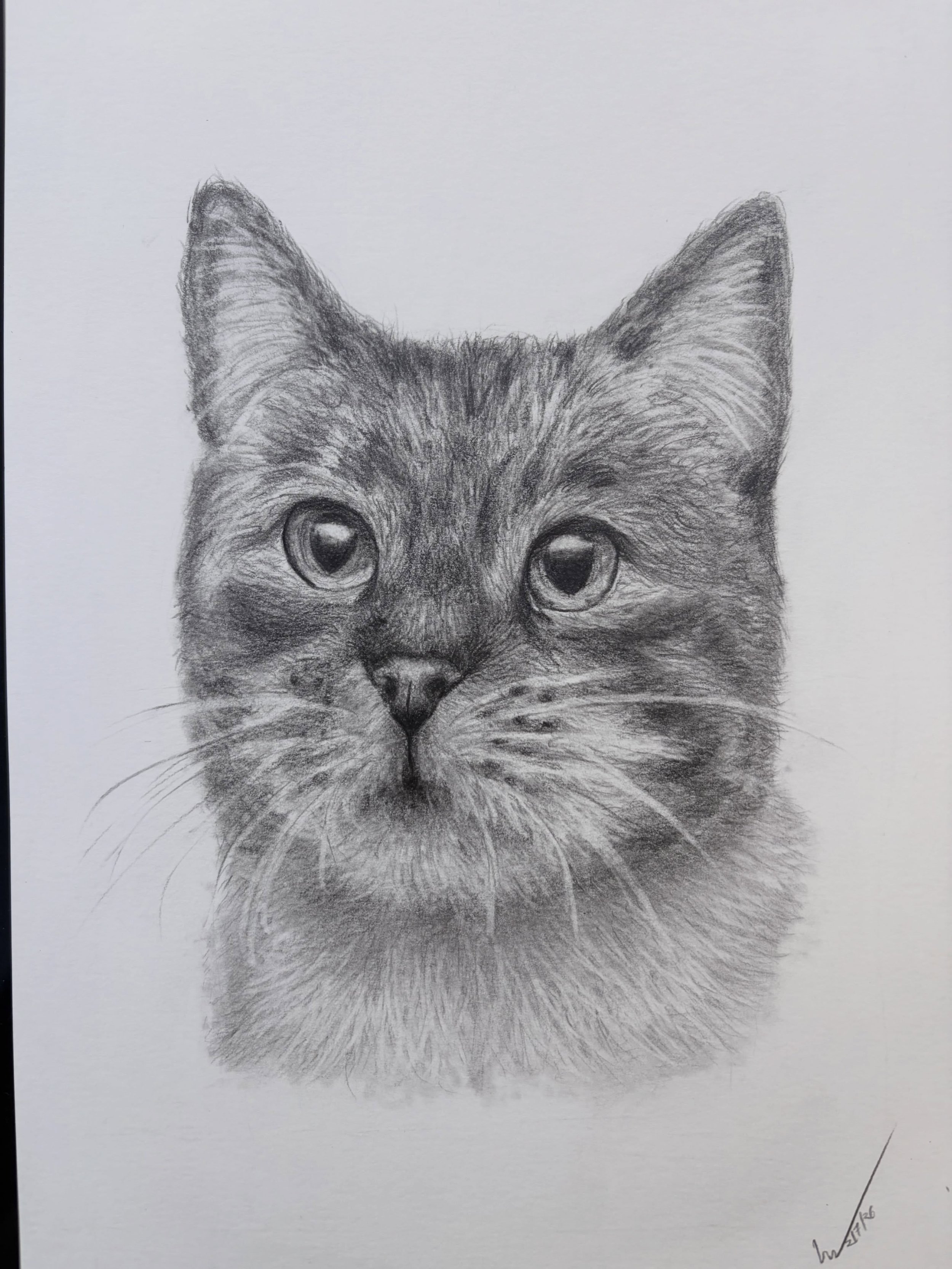 Florence&rsquo;s portrait.

I also make custom cat portraits! If you wanna have a forever keepsake of your furry friend, commission yours now ✨🖤

#catportraits #petportraitartist #petportrait #realism pencildrawing