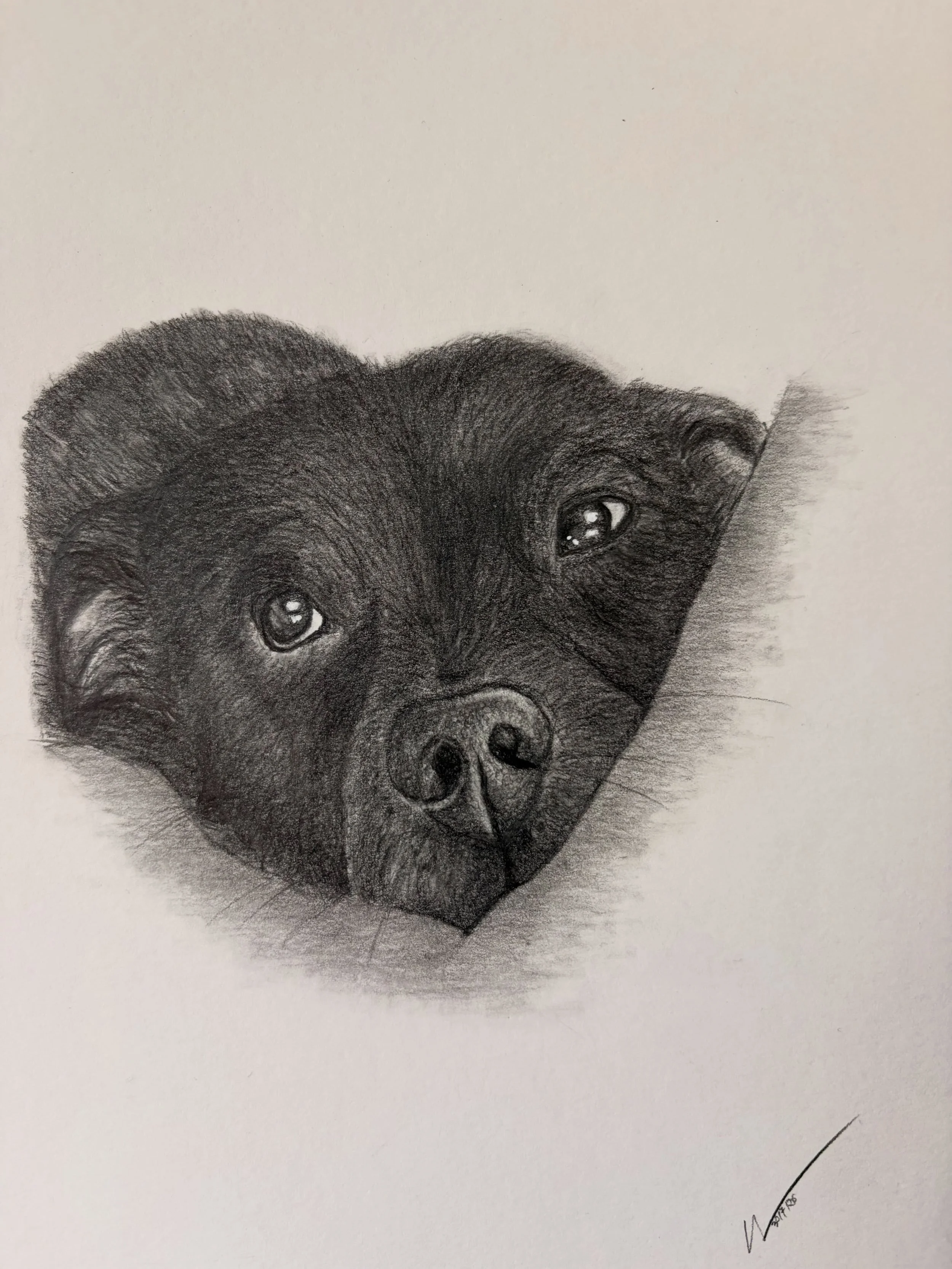 Taking commissions for December! Make yours now before it is too late!🐾 

#petportrait  #handmadewithlove❤️ #pencildrawing #realism