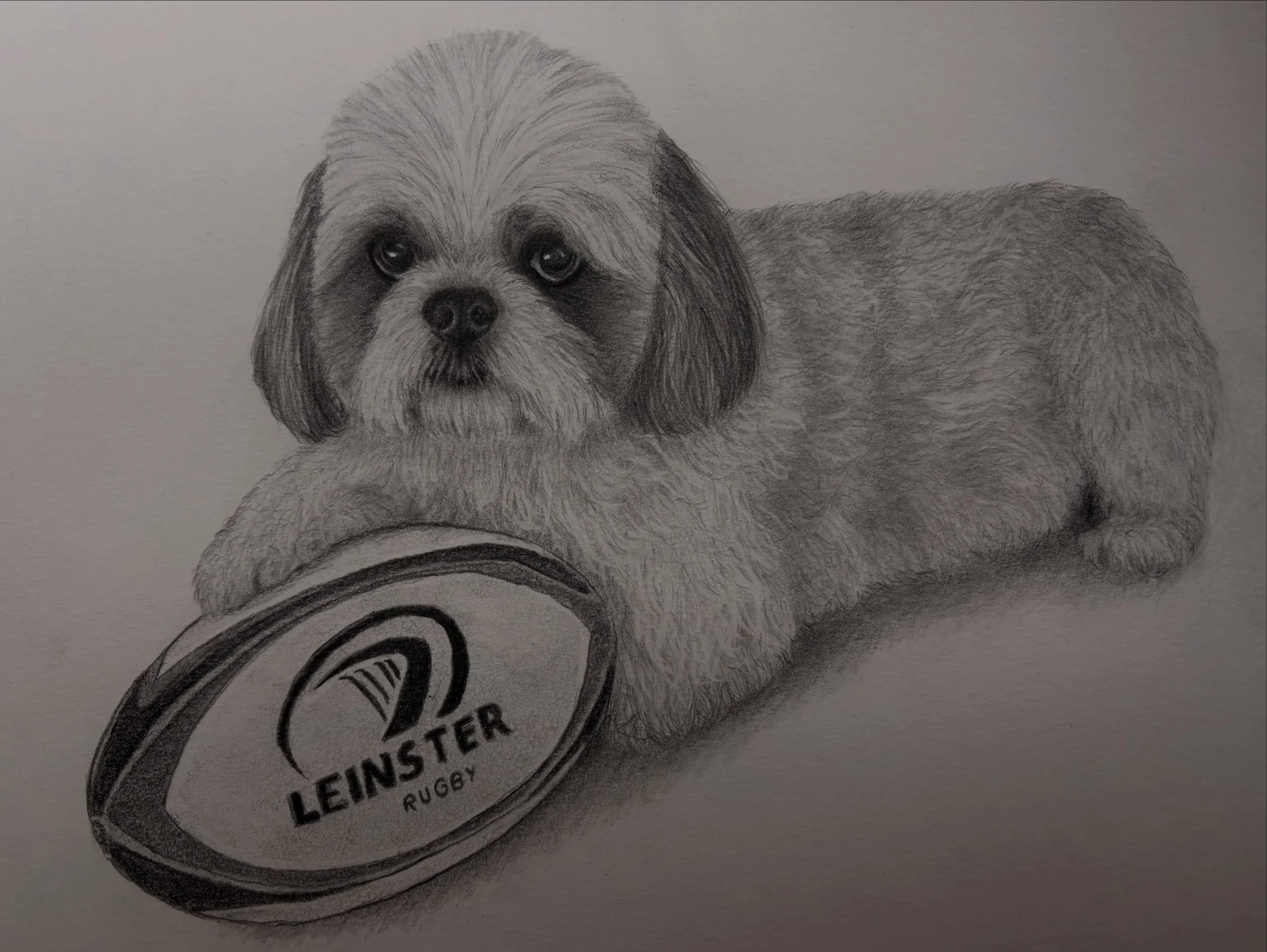 A huge fan of the Leinster team 🐾🏈

Taking commissions for December! Surprise your friend or family member with a handmade portrait of their best friends for Christmas 🎅🏻🎄

#leinsterrugby #petportraits #handmadewithlove #realism #pencilartwork