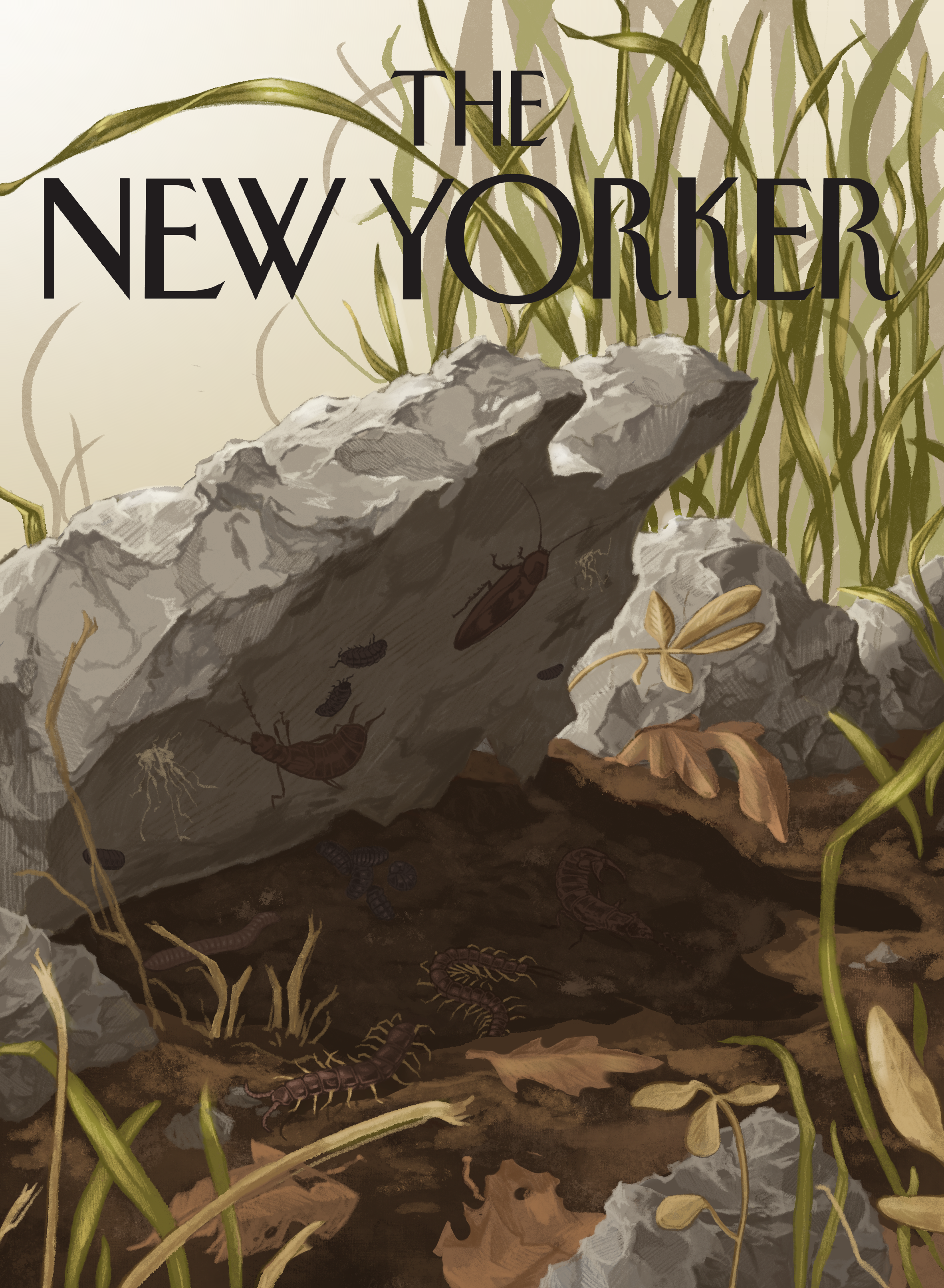American Underbelly NY Cover.png